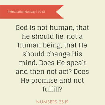 DID YOU KNOW-Matthew, Mark, Luke and