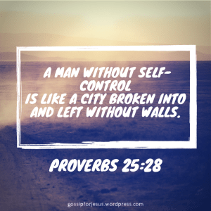 He that hath no rule over his own spirit (1)