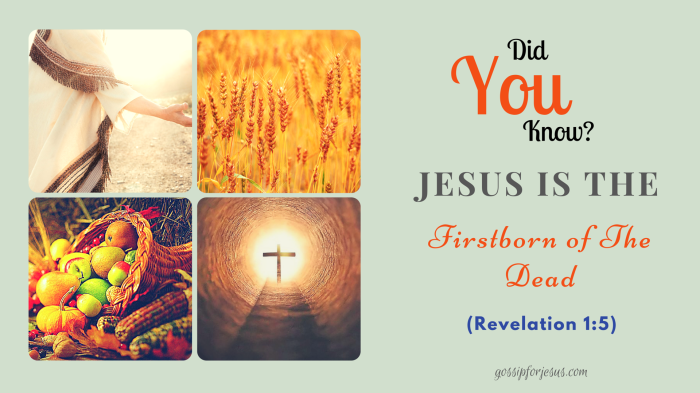 find a waynot an excuse (1)